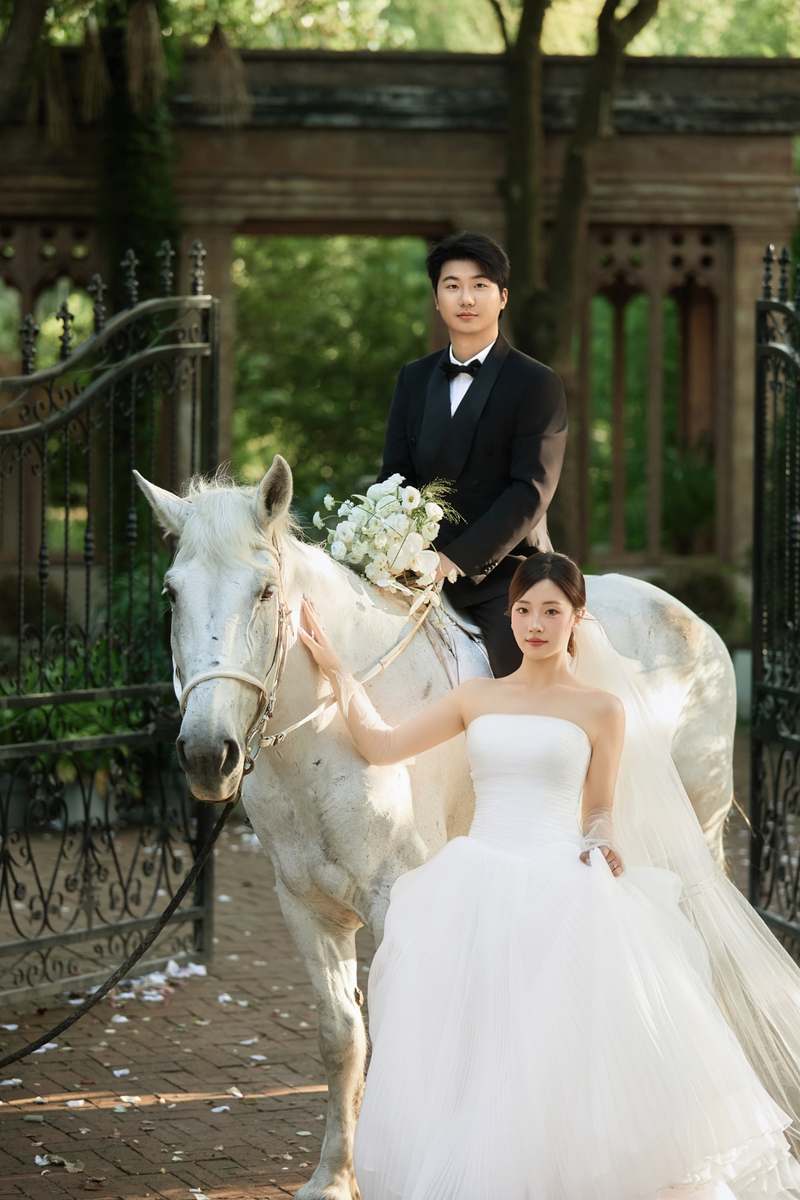 白马主题婚纱照